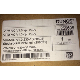 DUNGS冬斯燃气检漏仪VPM-VC燃气检测装置