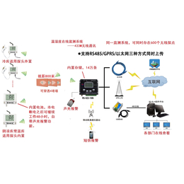 济南仁硕医药*冷链温湿度监控解决方案