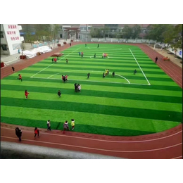 厂家*足球场用人造草坪人造草皮50承接足球场人造草坪施工缩略图