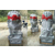 惠安石雕厂家供应2.8米石雕北京狮福建芝麻白花岗岩石材雕刻缩略图1