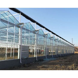智能玻璃温室大棚厂家,忻州玻璃温室大棚,太原益兴诚钢构工程