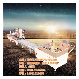 万川电器质量优良(图)、自动装箱机怎么安装、北京自动装箱机