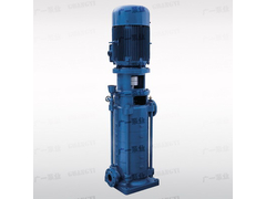 广一水泵厂DL型立式多级离心泵.jpg