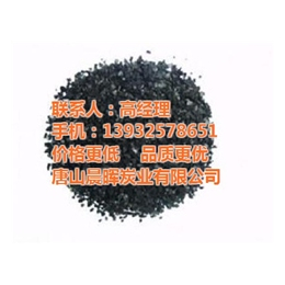 晨晖炭业厂家*(图)|木质活性炭供应商|活性炭