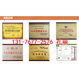 重庆豆腐机的品牌 豆腐机小型家用价格 全自动化花生豆腐机