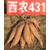 青海海西西农431红薯价格  元氏红薯批发甘甜美观缩略图2