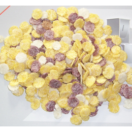 休闲小食品加工设备 膨化食品生产线玉米片设备缩略图