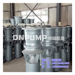 德能泵业公司(多图)_天津卧式大口径简易型潜水轴流泵