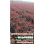 高杆红叶石楠树、好彩苗木(在线咨询)、高杆红叶石楠缩略图1
