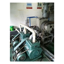 上海真空泵维修、德国技术、RA0100F真空泵维修