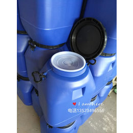 50升化工塑料桶50升方桶能提供出口商检证或食包证