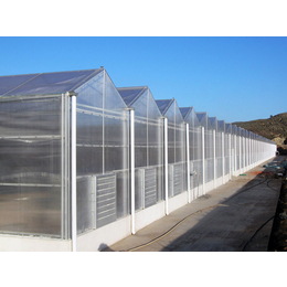 合肥阳光板温室,合肥建野,连栋阳光板温室