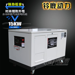 加防冻液水冷式三相15KW汽油发电机