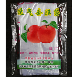 塑膜苹果袋、塑膜苹果袋生产厂、常兴果袋(****商家)