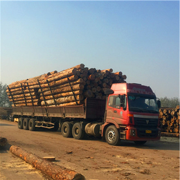 中林木业(在线咨询)|木材加工|花旗松木材加工
