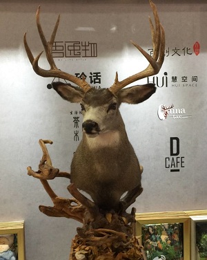 2018北京国际崖柏根雕木艺展览会