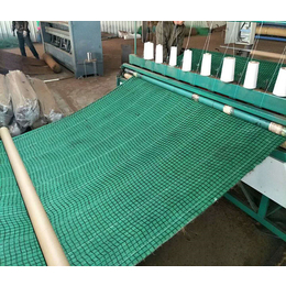 环保草毯(图)|*冲生物毯厂家|亳州*冲生物毯