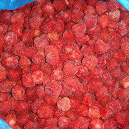 绍兴市草莓保鲜库厂家建设