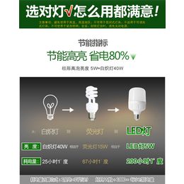 枣庄led灯泡,天蝎电器—品牌保障,led灯泡的价格