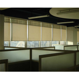 合肥帘动窗制品公司(图)、办公室电动卷帘、合肥电动卷帘