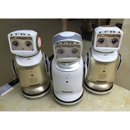 小宝机器人厂家、驻马店小宝机器人、【卡伊瓦】(查看)