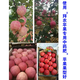 拜农苹果树中药叶面肥(图)、苹果树叶面肥哪个好、苹果树叶面肥