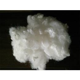 涤纶纤维制造|东南化纤(在线咨询)|涤纶纤维