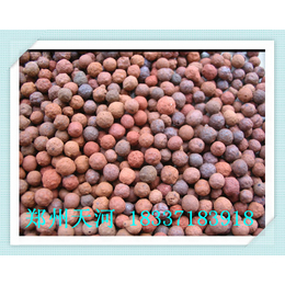 锦州生物页岩陶粒滤料特点及用途