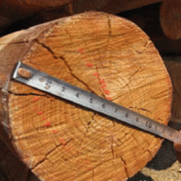 河北恒天现货销售防腐油木杆6米7米8米10米