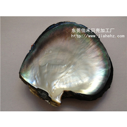 佳禾贝壳表面(图),汕头贝壳饰品,贝壳