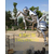 上海塑景雕塑订制不锈钢蚂蚁雕塑户外广场景观摆件来图订制缩略图1