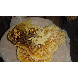 广东农家蜂蜜销售厂家、农家蜂蜜、【宝鸭塘】(查看)
