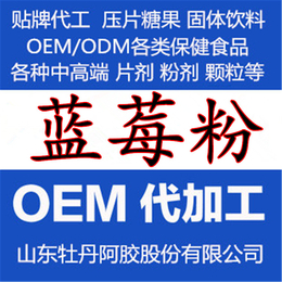 OEM ODM贴牌代加工 蓝莓冻干粉 固体饮料