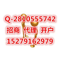 新湖国际咨询公司代理优势特点