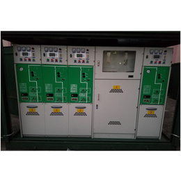 湖南1200 配电柜厂家|国兴电气(在线咨询)|电柜