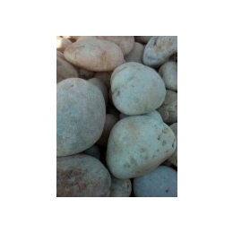 荆门鹅卵石|*石材|铺路鹅卵石