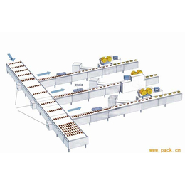 1拖1饼干理料包装线