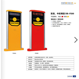 智能停车场收费系统|广州盾丰智能(在线咨询)|停车场系统