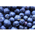 供应厂家*美国进口浓缩果汁蓝莓浓缩汁缩略图3
