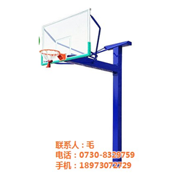岳阳市篮球架安装|宇硕体育(在线咨询)|篮球架