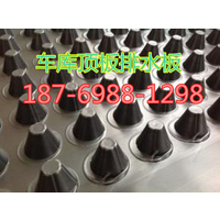 广州40高凹凸型排蓄水板/透水板厂家
