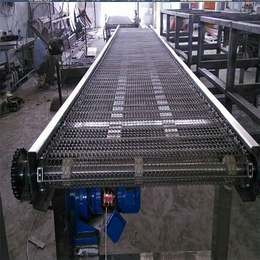 书奎筛网有限公司,梅州不锈钢输送网,304不锈钢输送网带