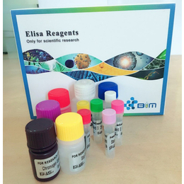进口人型肽精氨酸脱亚氨基酶elisa*盒