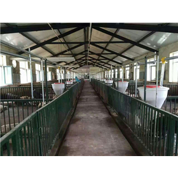 猪舍料线生产厂家、安徽猪舍料线、牧鑫养殖设备