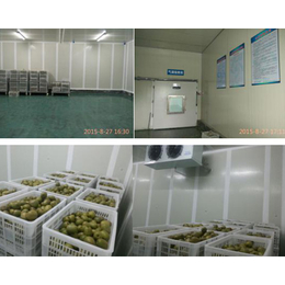 伟业制冷设备公司(图)、水果冷藏库厂家、朔州水果冷藏库