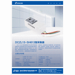 河南*DCZL13-SH613-国网新标准的II型*