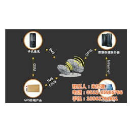 车联网解决方案_车联网_迪迪物联(查看)