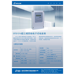 郑州三相电能表系列型号中哪种型号三相表便宜-DTS1316