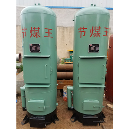 蓝山锅炉(图)|型号60节煤王锅炉|福泉市节煤王锅炉