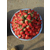 乾纳瑞农业科技公司售、北京草莓苗、甜查理草莓苗缩略图1